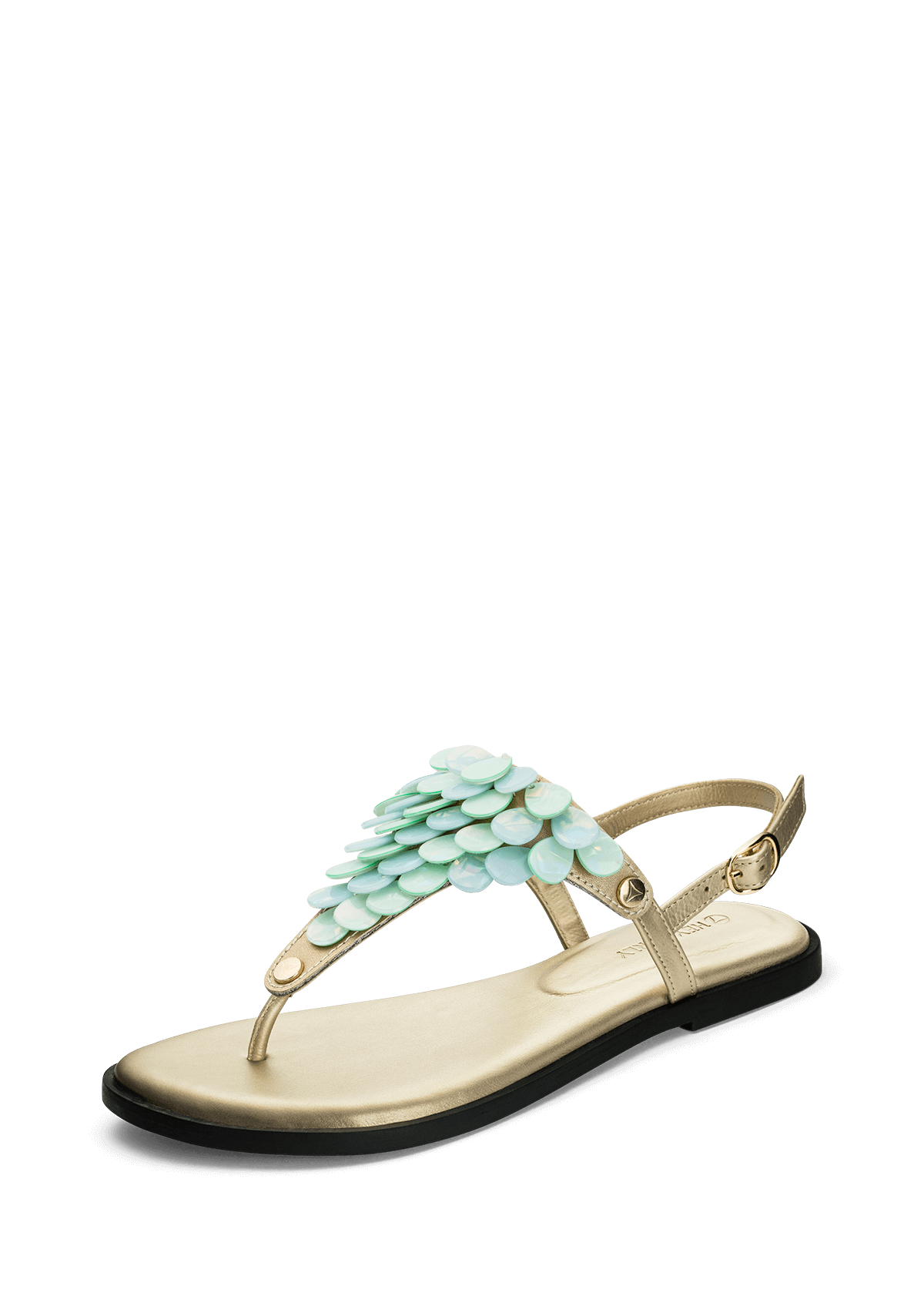 Produktabbildung auf neutralem Hintergrund des Produktes Shiny Plate in der Farbe Classic Gold