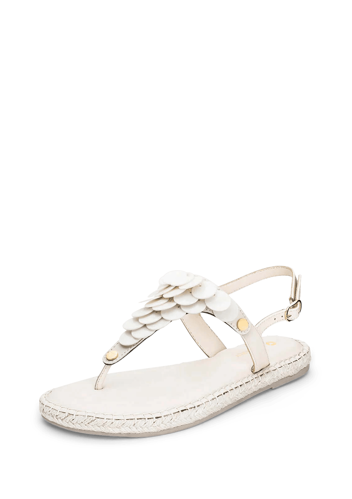 Frontalansicht auf neutralem Hintergrund des Produktes Shiny Plate in der Farbe Crema