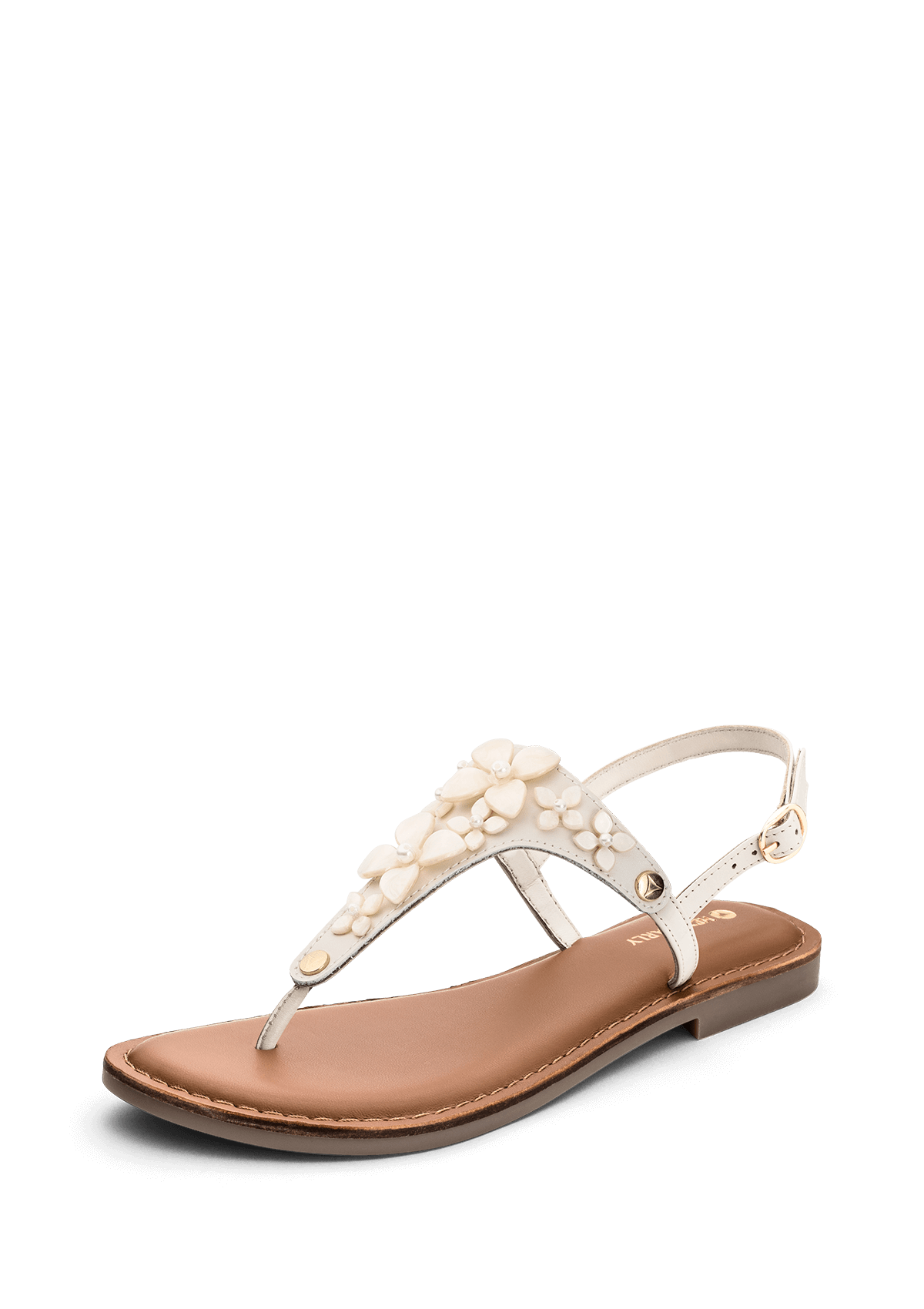 Sunlight Bloom - Classic Crema