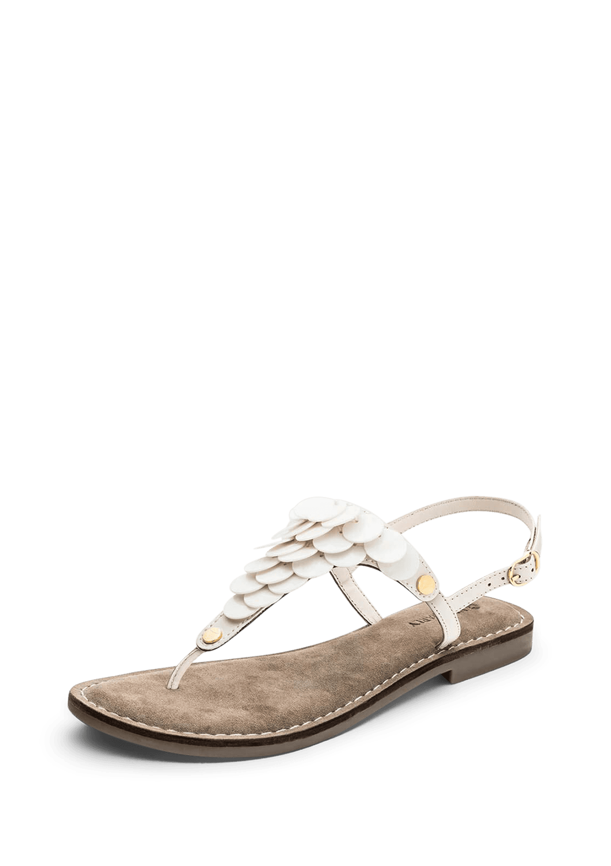 Frontalansicht auf neutralem Hintergrund des Produktes Shiny Plate in der Farbe Crema