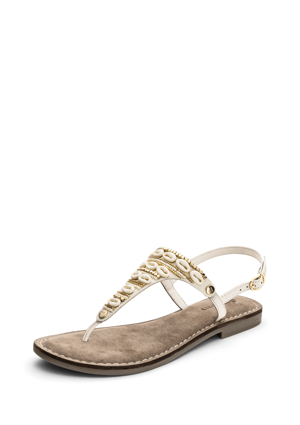 Ethno Shells - Comfort Crema