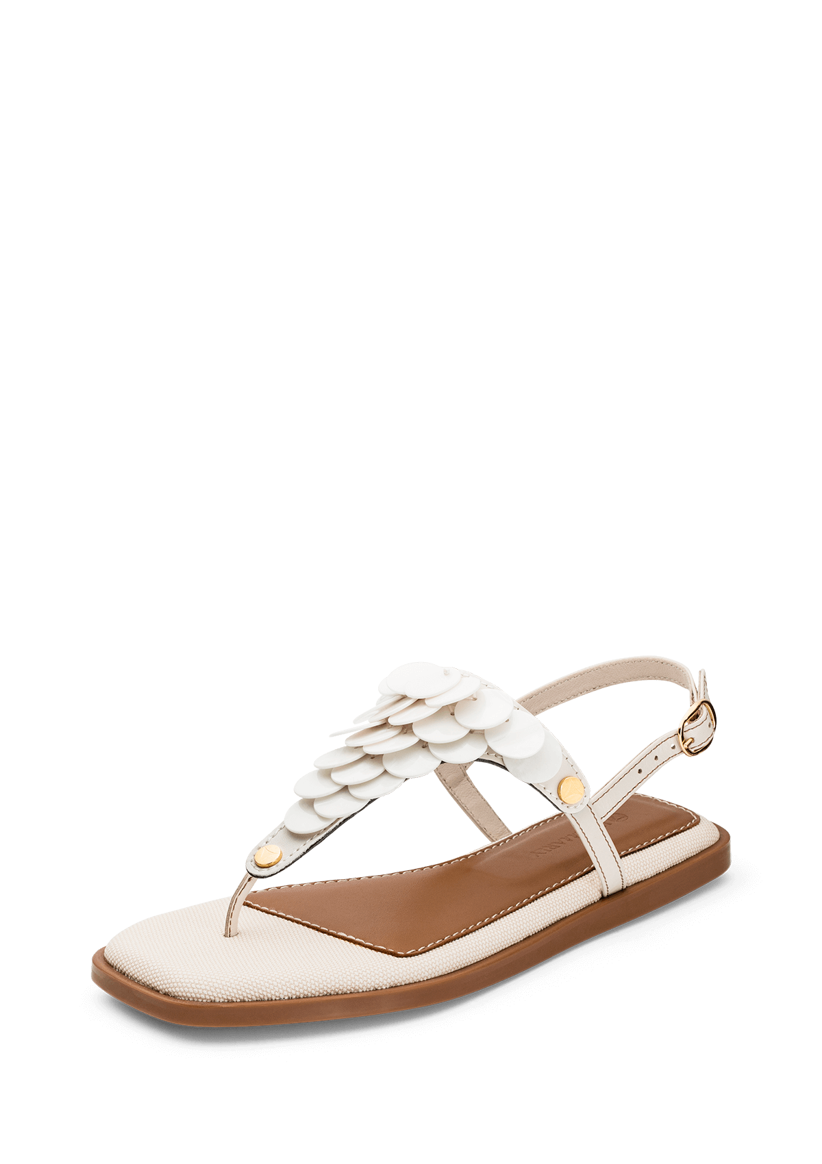 Produktabbildung auf neutralem Hintergrund des Produktes Shiny Plate- Chic Canvas