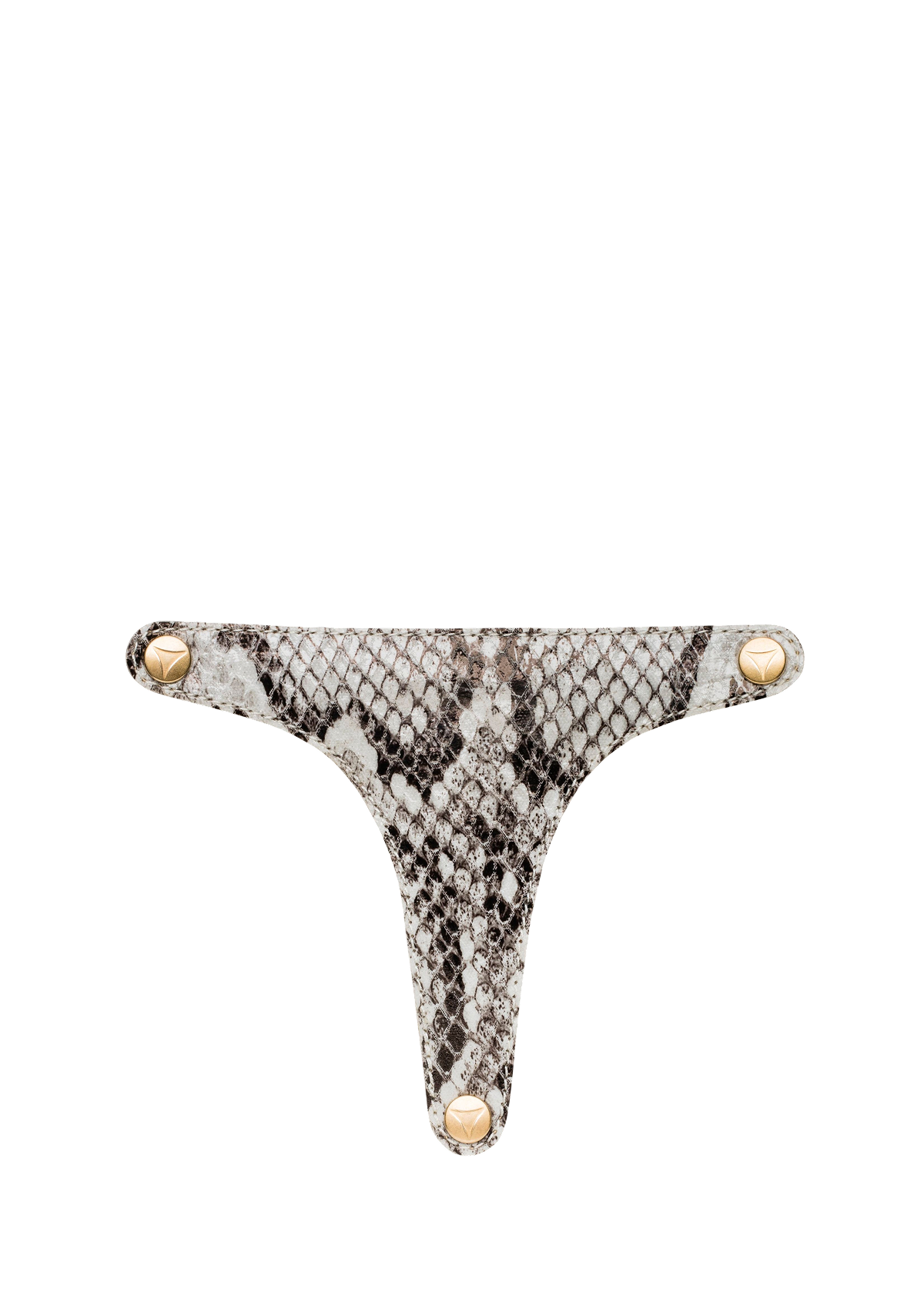 Animal Print - Snake Cream