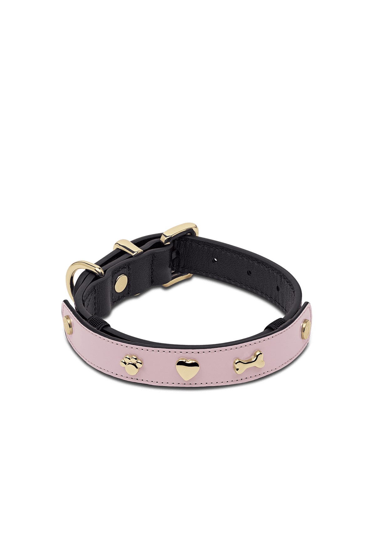 Produktabbildung auf neutralem Hintergrund des Produktes Dog Topping City Gloss S-M in der Farbe Classic Dog Collar S-M