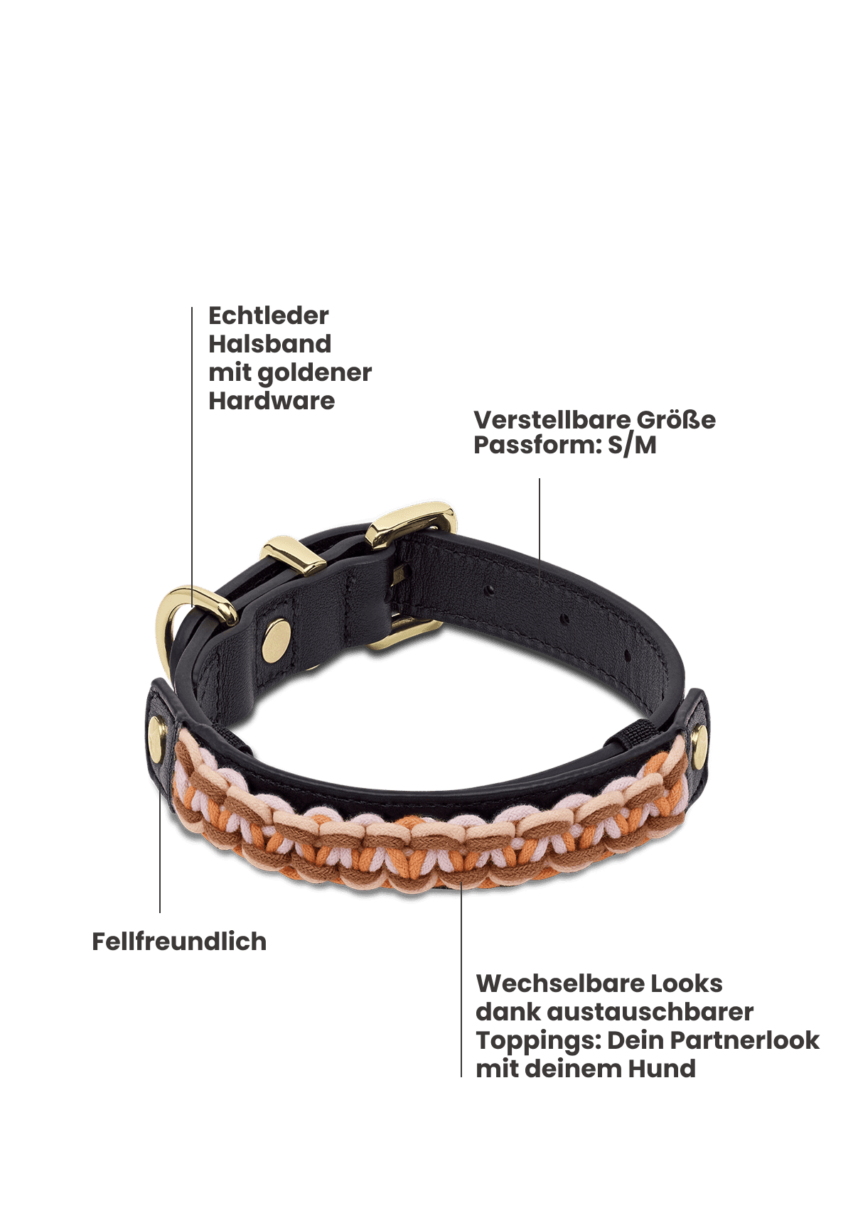 Produktabbildung auf neutralem Hintergrund des Produktes Dog Topping Nautic Vibes S-M in der Farbe Classic Dog Collar S-M