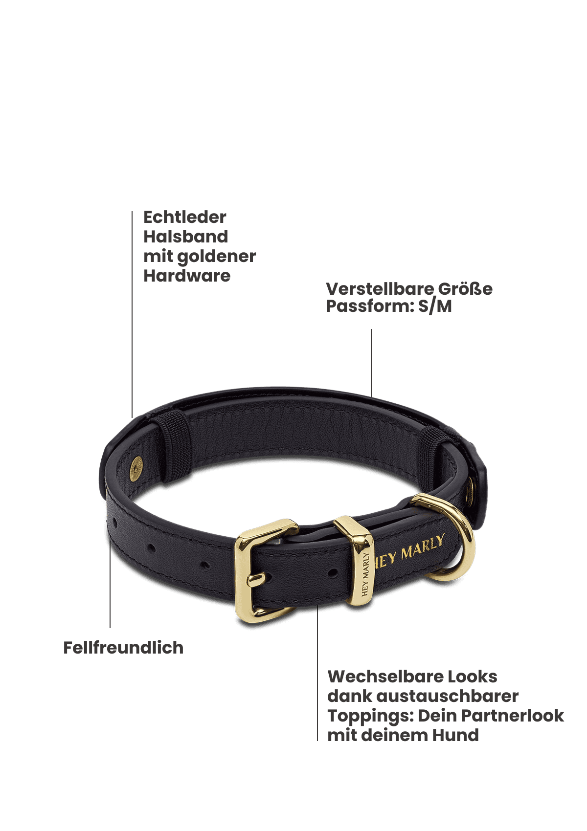 Produktabbildung auf neutralem Hintergrund des Produktes Classic Dog Collar S-M in der Farbe Black