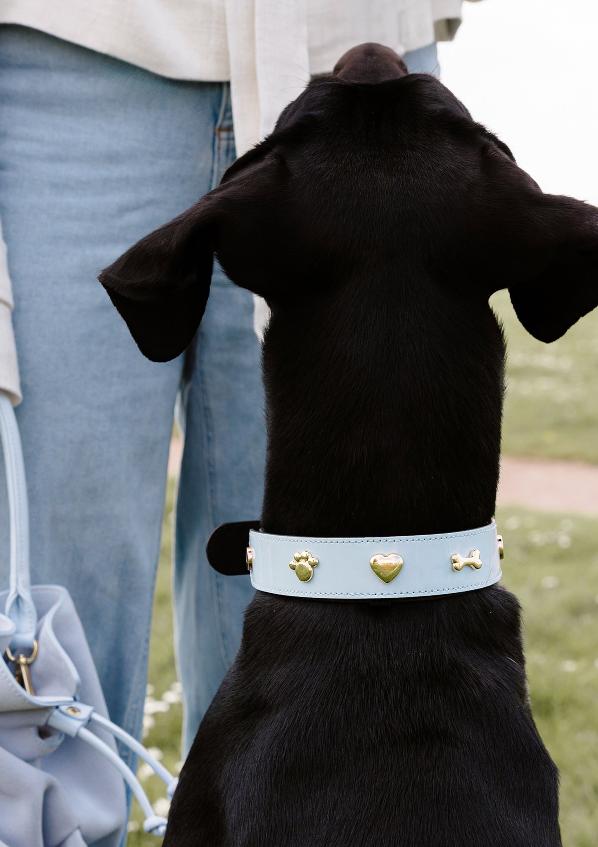 Tragebild mit Model auf neutralem Hintergrund des Produktes Dog Topping City Gloss L in der Farbe Classic Dog Collar L in der Größe L