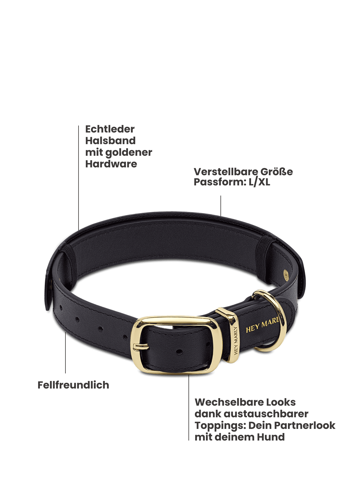Produktabbildung auf neutralem Hintergrund des Produktes Classic Dog Collar L in der Farbe Black in der Größe L