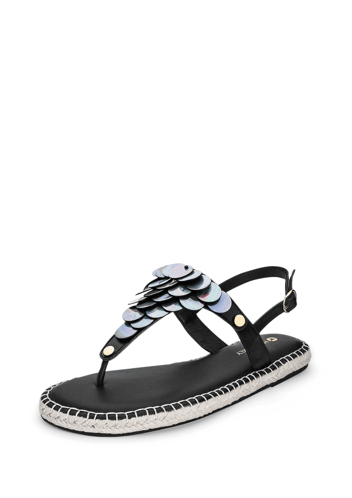 Shiny Plate - Classic Bast Black