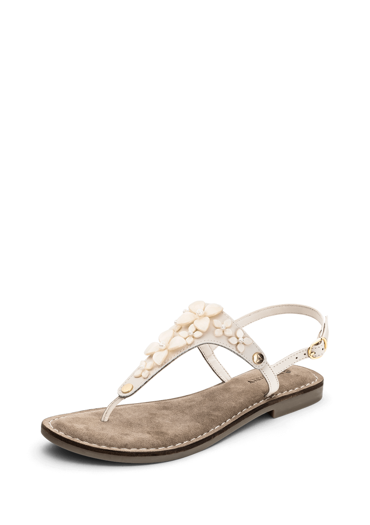 Sunlight Bloom - Comfort Crema