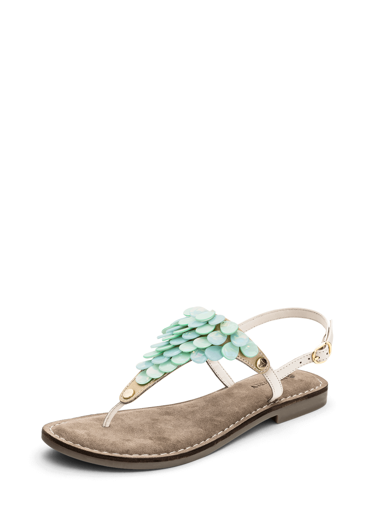 Produktabbildung auf neutralem Hintergrund des Produktes Shiny Plate in der Farbe Comfort Crema