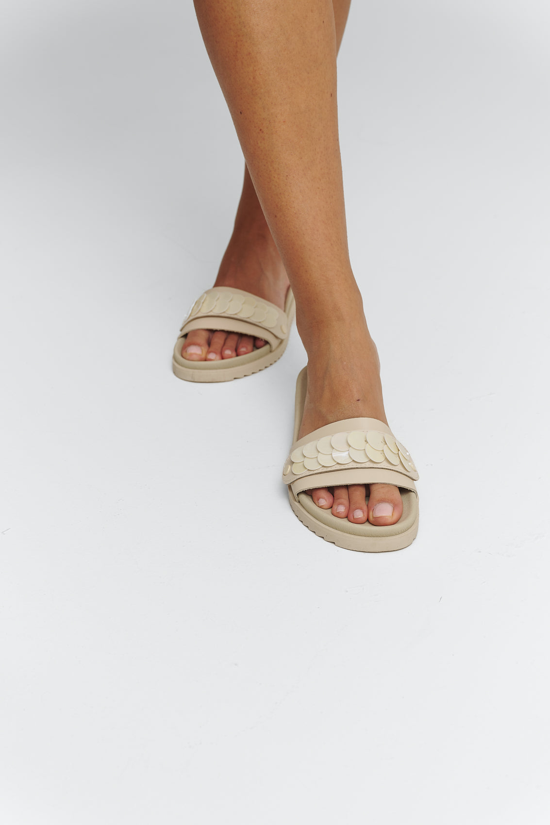 Shiny Plate - Casual Clean Crema
