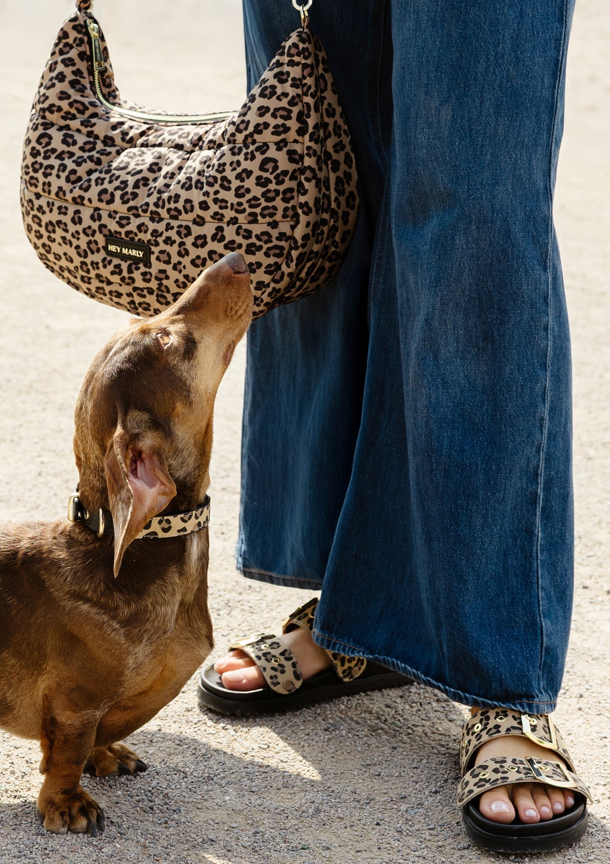 Tragebild mit Model auf neutralem Hintergrund des Produktes Dog Topping Animal Print S-M in der Farbe Classic Dog Collar S-M