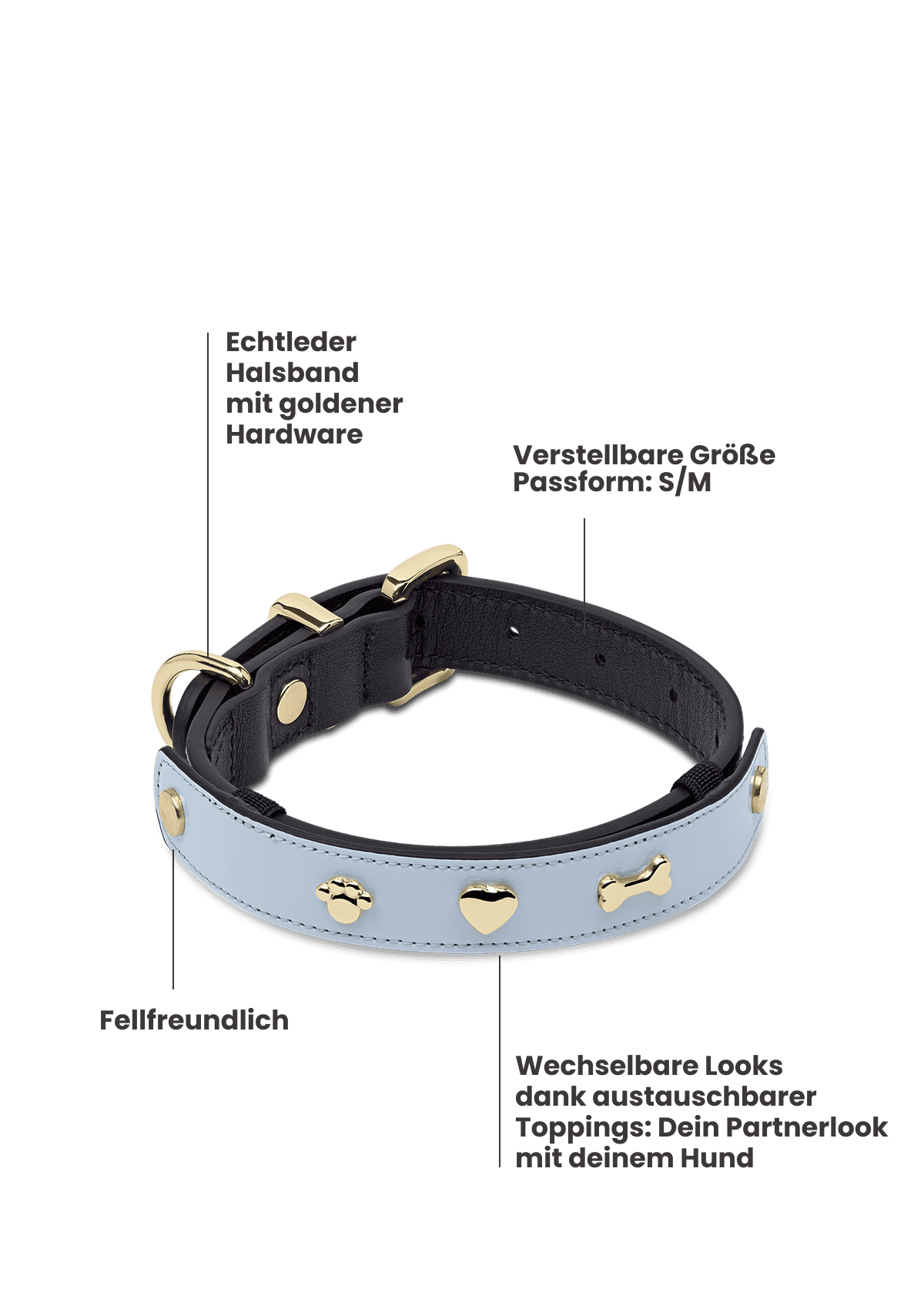 Produktabbildung auf neutralem Hintergrund des Produktes Dog Topping City Gloss S-M in der Farbe Classic Dog Collar S-M