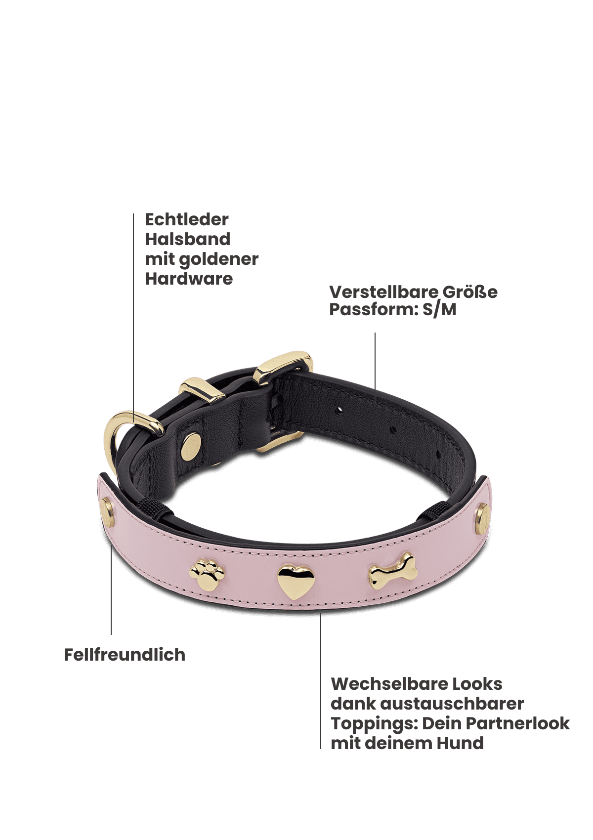 Produktabbildung auf neutralem Hintergrund des Produktes Dog Topping City Gloss S-M in der Farbe Classic Dog Collar S-M