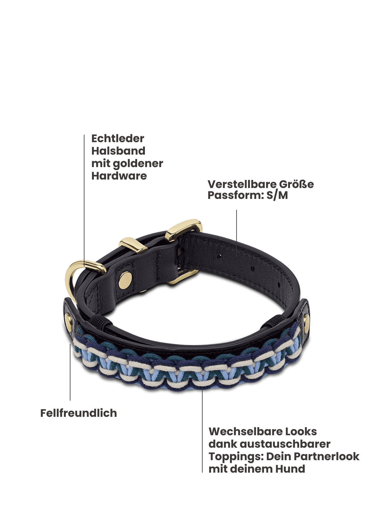 Produktabbildung auf neutralem Hintergrund des Produktes Dog Topping Nautic Vibes S-M in der Farbe Classic Dog Collar S-M