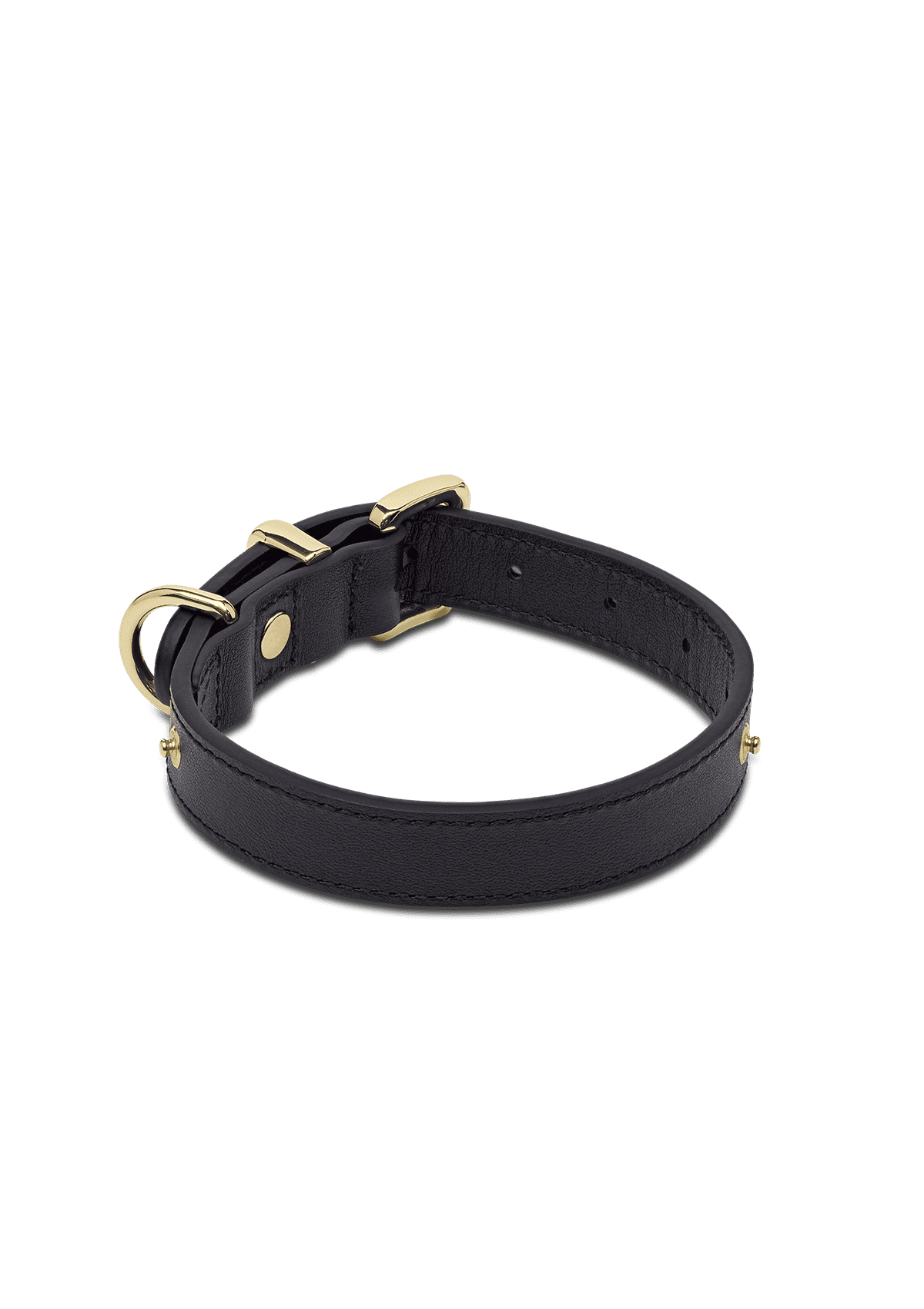 Produktabbildung auf neutralem Hintergrund des Produktes Classic Dog Collar S-M in der Farbe Black