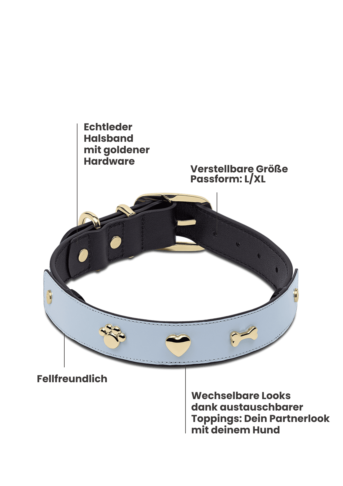 Produktabbildung auf neutralem Hintergrund des Produktes Dog Topping City Gloss L in der Farbe Classic Dog Collar L in der Größe L