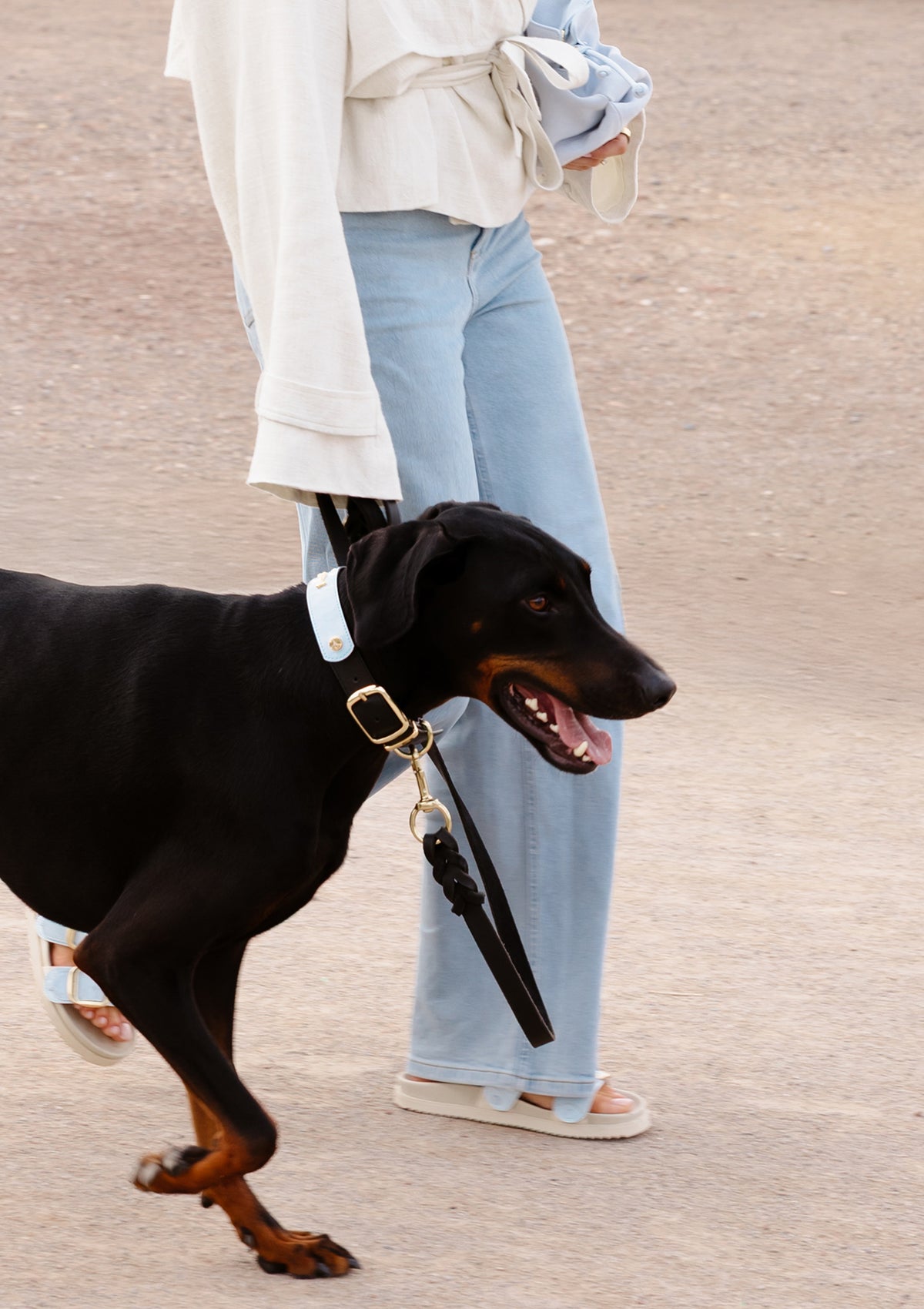 Produktabbildung auf neutralem Hintergrund des Produktes Dog Topping City Gloss L in der Farbe Classic Dog Collar L in der Größe L