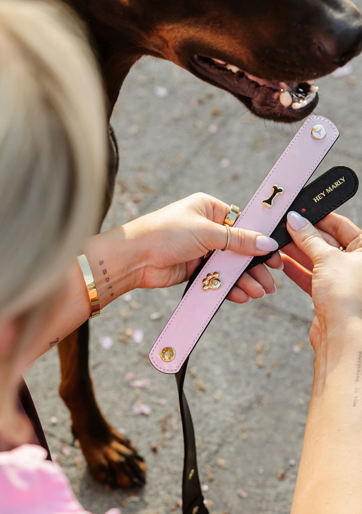 Produktabbildung auf neutralem Hintergrund des Produktes Dog Topping City Gloss L in der Farbe Classic Dog Collar L in der Größe L