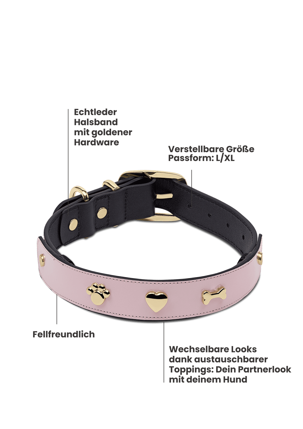 Produktabbildung auf neutralem Hintergrund des Produktes Dog Topping City Gloss L in der Farbe Classic Dog Collar L in der Größe L