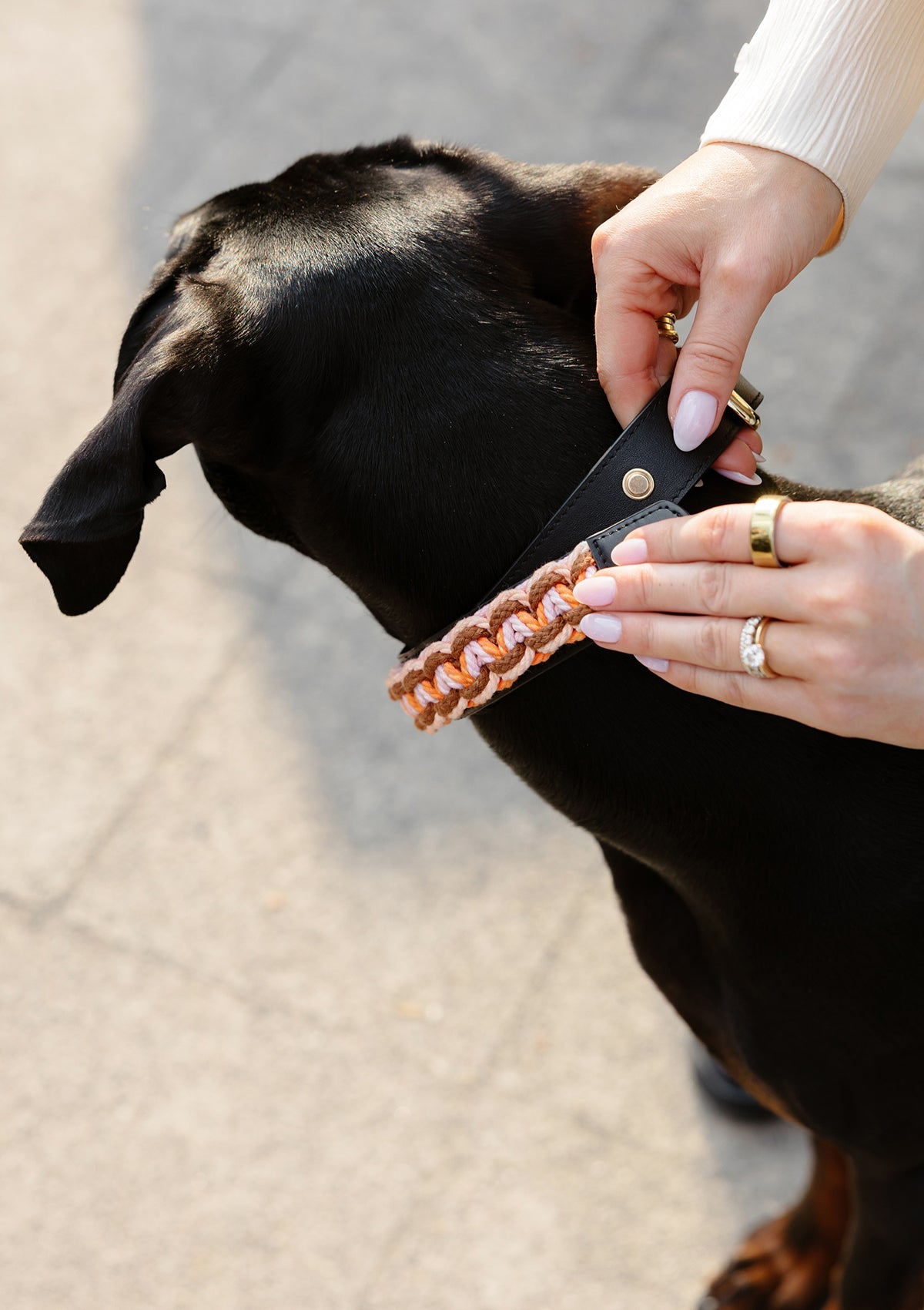 Produktabbildung auf neutralem Hintergrund des Produktes Dog Topping Nautic Vibes L in der Farbe Classic Dog Collar L in der Größe L