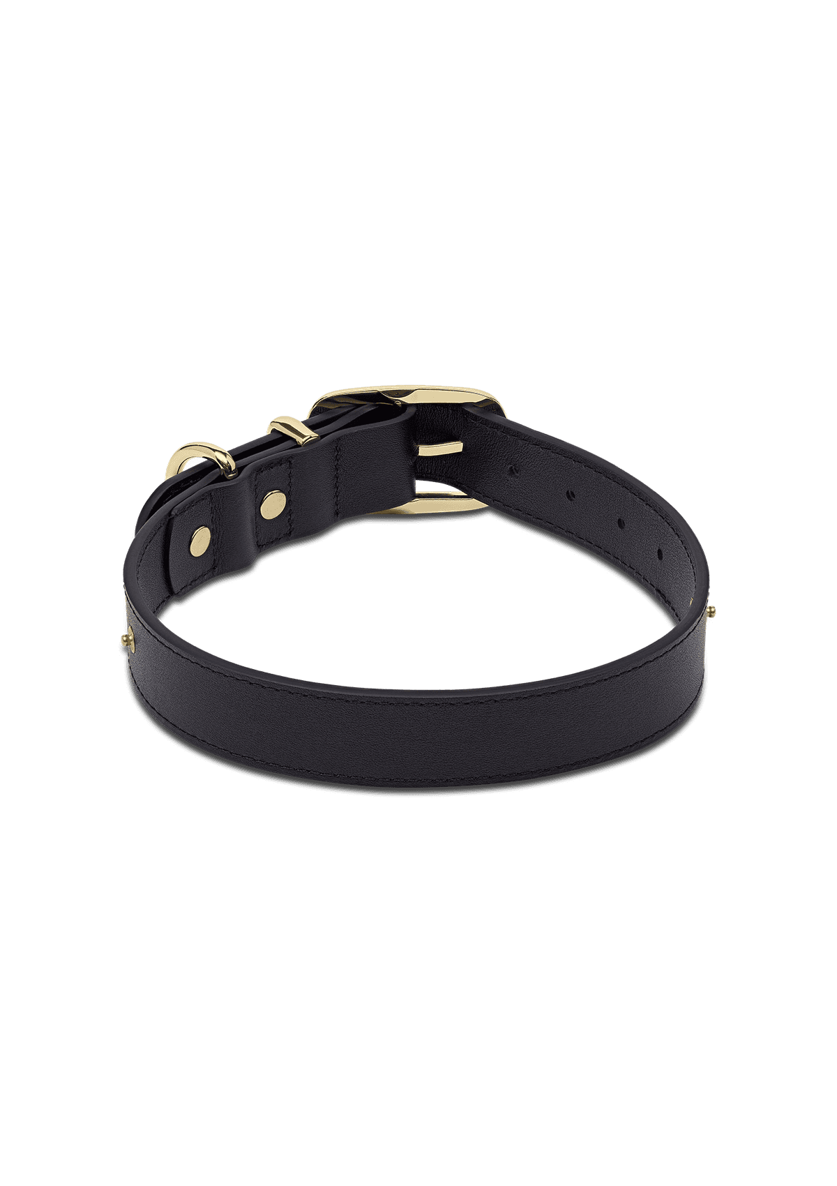 Produktabbildung auf neutralem Hintergrund des Produktes Classic Dog Collar L in der Farbe Black in der Größe L