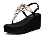 Shiny Pearl - Wedge Bast High Black TS