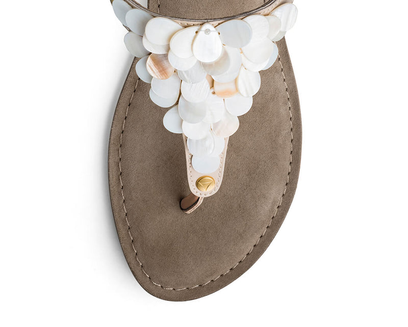 Shiny Pearl - Comfort Taupe TS