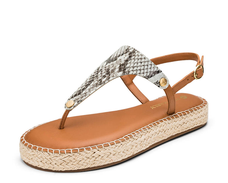 Animal Print - Plateau Bast Cognac TS
