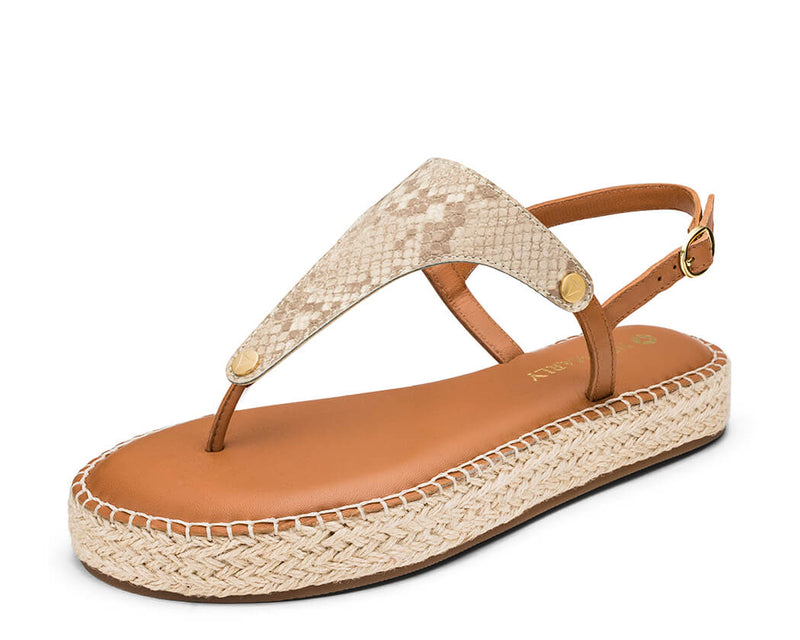 Animal Print - Plateau Bast Cognac TS