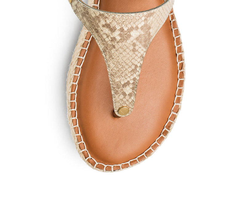 Animal Print - Plateau Bast Cognac TS