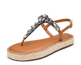 Brilliant Life - Plateau Bast Cognac TS