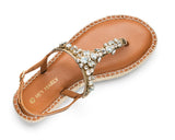 Brilliant Life - Plateau Bast Cognac TS