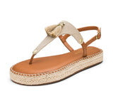 Pom de Paris - Plateau Bast Cognac TS