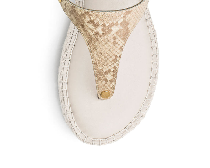 Animal Print - Plateau Bast Crema TS