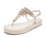 Day to Night - Plateau Bast Crema TS