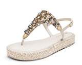 Day to Night - Plateau Bast Crema TS