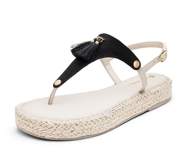 Pom de Paris - Plateau Bast Crema TS