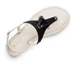 Pom de Paris - Plateau Bast Crema TS