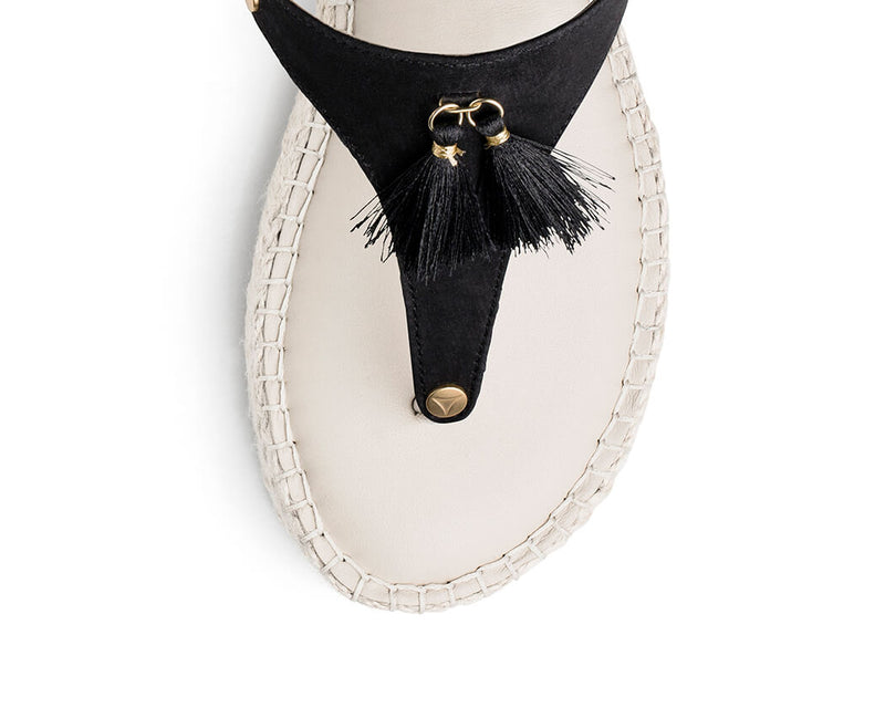 Pom de Paris - Plateau Bast Crema TS