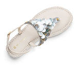 Shiny Pearl - Plateau Bast Crema TS