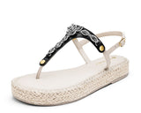 Sparkling Sea - Plateau Bast Crema TS
